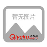 供應VPR120-QB數(shù)字顯示補償型流量積算儀表